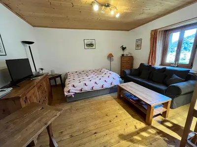 a living room with a couch and a bed at Appartement spacieux proche des télécabines et du centre ville avec jardin privé in Saint-Gervais-les-Bains