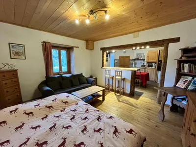 a bedroom with a bed and a living room at Appartement spacieux proche des télécabines et du centre ville avec jardin privé in Saint-Gervais-les-Bains