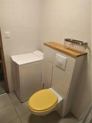 a bathroom with a toilet with a yellow lid at Appartement dans ferme rénovée au cœur du Grand Massif in Sixt