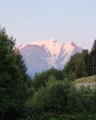 a snow covered mountain in the distance behind trees at Studio tout confort avec vue sur les sommets in Combloux