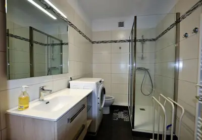 a bathroom with a sink and a shower and a toilet at Résidence du Mont-Blanc n°5Bis in Combloux