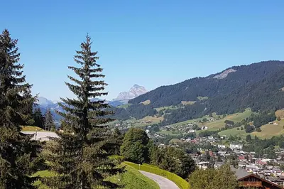a pine tree on a hill with a town and mountains at Appartement Megève - Welkeys in Megève