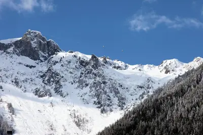 a snow covered mountain with trees on it at ALPINSTAR in Chamonix-Mont-Blanc