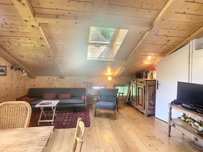 a living room with a couch and a television at Appartement cosy avec mezzanine, au pied des pistes à Combloux, parking inclus - FR-1-560-25 in Combloux