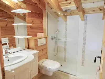 a bathroom with a shower and a toilet and a sink at Grand chalet confortable à Demi-Quartier, 13 couchages - FR-1-560-36 in Demi-Quartier