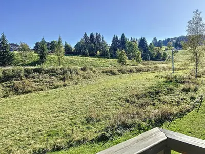 a field of grass with trees in the background at Charmant 3 pièces au pied des pistes à Combloux - FR-1-560-59 in Combloux