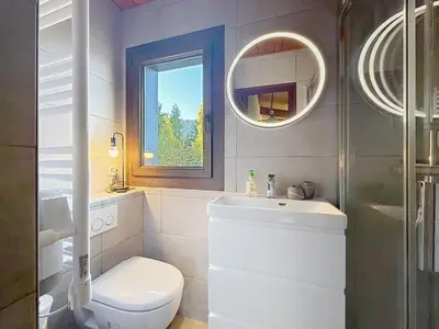 a bathroom with a toilet and a sink and a mirror at Charmant 3 pièces au pied des pistes à Combloux - FR-1-560-59 in Combloux