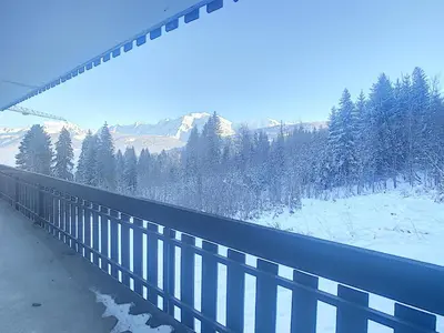 a bridge with snow on the ground and trees at Appartement cosy au pied des pistes à Combloux avec balcon et casier à skis - FR-1-560-61 in Combloux