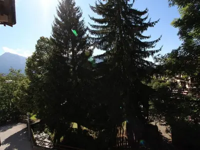 two large pine trees next to a fence at Studio rénové cosy, 4 pers, au pied des pistes, balcon ouest, proche commerces, parking inclus - FR-1-572-66 in Les Carroz d'Araches
