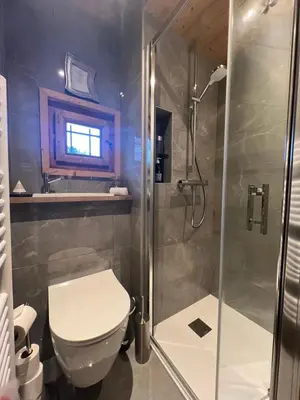 a bathroom with a toilet and a shower at Le Solli in Saint-Gervais-les-Bains