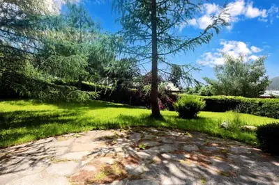 a tree in the middle of a yard at Chalet Ulysse - Chalet Ulysse MAE-6403 in Les Houches