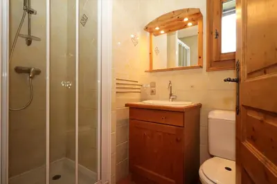 a bathroom with a shower and a sink and a toilet at Résidence Le Saint Georges - Saint-Georges 07 MAE-6405 in Les Houches