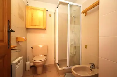 a bathroom with a toilet and a shower and a sink at Résidence Les Aiguilles Rouges Bat B - Aiguilles Rouges B6 MAE-6418 in Les Houches