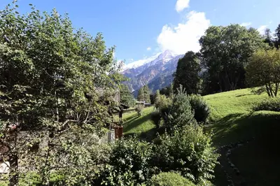 a view of a hill with trees and a mountain at Résidence Les Hauts De Chavants - Hauts de Chavants Berard 04 MAE-6426 in Les Houches