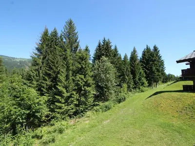 a grassy hill with trees on the side of it at Duplex chaleureux 4 pièces avec wifi, parking, proche spa & bus pour ski - FR-1-572-43 in Les Carroz d'Araches