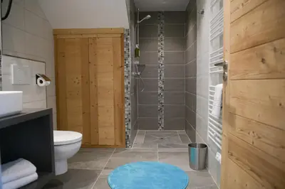 a bathroom with a shower and a toilet at Le Mazot d'la Marmotte Studio in Passy