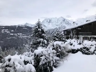 a snow covered tree in front of a building with mountains at Résidence La Gelinotte - Gélinotte 6 MAE-5292 in Saint-Gervais-les-Bains