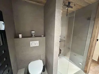 a bathroom with a toilet and a shower at Appartement 3 pièces+cabine à Megève, près des pistes, terrasse, parking, 6 couchages - FR-1-597-1 in Megève