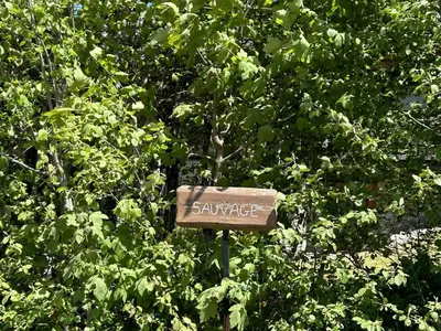 a sign in the middle of a bush at Duplex 4 pièces, 8 couchages, jardin, parking, près des pistes - FR-1-597-3 in Megève