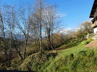 a grassy hill with trees on the side of it at Résidence Les Fermes De Saint Gervais - Fermes de Saint Gervais A7 MAE-5287 in Saint-Gervais-les-Bains