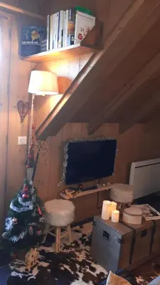 a living room with a christmas tree and a television at Duplex 6 pers, garage, WIFI, calme, proche des pistes, vue magnifique in Saint-Gervais-les-Bains