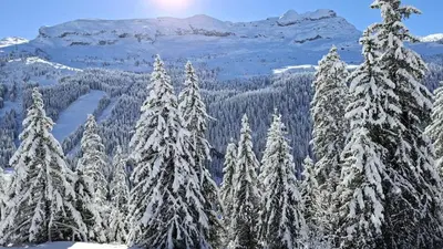 a group of snow covered trees with mountains in the background at Résidence Les Pleiades - Appartement spacieux avec balcon · Centre station · Parking couvert MAE-7352 in Flaine