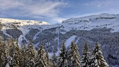 a snowy mountain with trees and snow covered mountains at Résidence Les Pleiades - Appartement spacieux avec balcon · Centre station · Parking couvert MAE-7352 in Flaine