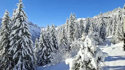 a group of trees covered in snow on a mountain at Résidence Les Pleiades - Appartement spacieux avec balcon · Centre station · Parking couvert MAE-7352 in Flaine