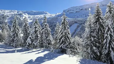 a group of trees covered in snow on a mountain at Résidence Les Pleiades - Appartement spacieux et lumineux · Centre station · Balcon · Parking couvert MAE-7354 in Flaine