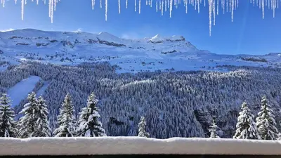 a view of a snow covered forest with icicles at Résidence Les Pleiades - Appartement spacieux et lumineux · Centre station · Balcon · Parking couvert MAE-7354 in Flaine