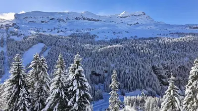 a snowy mountain with trees and snow covered mountains at Résidence Les Pleiades - Appartement spacieux · Centre station · Balcon · Parking couvert MAE-7356 in Flaine