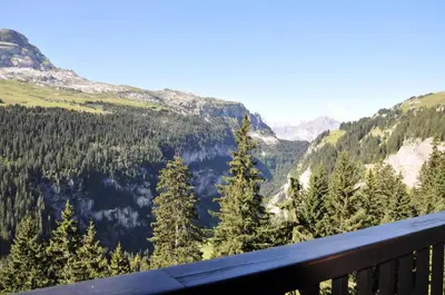 a view of a valley with trees and mountains at Résidence Les Pleiades - Appartement confortable · Centre station · Balcon MAE-7365 in Flaine