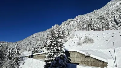 a snow covered mountain with a building and a snow covered tree at Residence De La Foret - Appartement confortable · Proche des pistes · Casier à ski MAE-7372 in Flaine