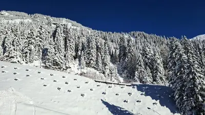 a snow covered hill with trees on a mountain at Residence De La Foret - Appartement confortable · Proche des pistes · Casier à ski MAE-7372 in Flaine