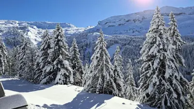 a group of snow covered trees on top of a mountain at Résidence Les Pleiades - Appartement lumineux avec balcon · Centre station · Parking couvert MAE-7379 in Flaine