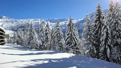 a group of trees covered in snow on a mountain at Résidence Les Pleiades - Appartement spacieux · Centre station · Parking couvert · Balcon MAE-7381 in Flaine