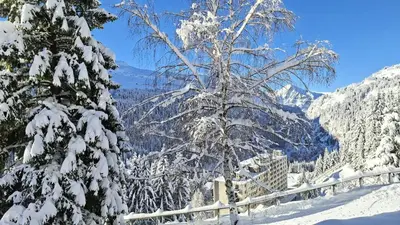 a tree covered in snow next to a fence at Résidence Belier - Appartement confortable et lumineux · Au pied des pistes · WIFI gratuit et illimité MAE-7384 in Flaine
