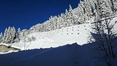 a flock of birds flying over a snow covered mountain at Residence De La Foret - Appartement confortable · Proche des pistes · WIFI gratuit et illimité MAE-7386 in Flaine