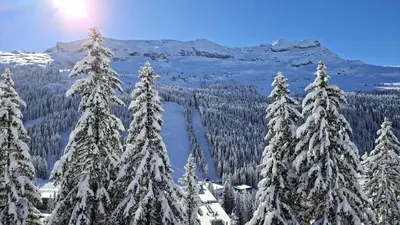 a group of pine trees covered in snow at Résidence Castor - Appartement confortable · Proche des pistes · Balcon MAE-7387 in Flaine