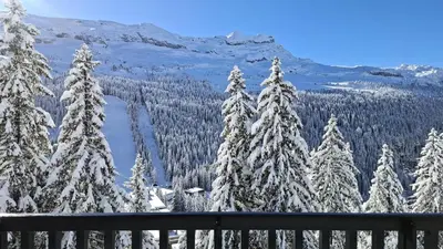 a view of a snow covered tree covered mountain at Résidence Castor - Appartement confortable · Proche des pistes · Balcon MAE-7387 in Flaine
