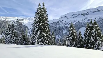 a group of snow covered trees on a mountain at Résidence Sagittaire - Studio entièrement rénové avec cabine · Centre station · Balcon MAE-7390 in Flaine