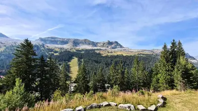 a hillside with trees and mountains in the background at Résidence Castor - Studio rénové avec casier à ski · Proche des pistes · Balcon MAE-7394 in Flaine
