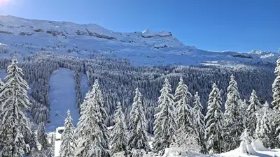 a view of a snow covered mountain with trees at Résidence Castor - Studio rénové avec casier à ski · Proche des pistes · Balcon MAE-7394 in Flaine