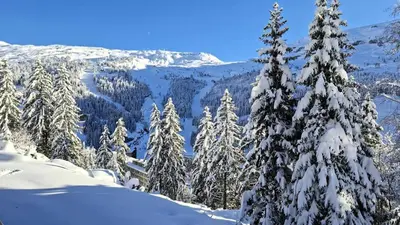 a snowy mountain with snow covered trees and mountains at Résidence Pollux - Studio confortable avec cabine · Proche des pistes et des commerces · Balcon MAE-7415 in Flaine