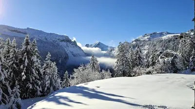 a snow covered mountain with trees and clouds in the background at Résidence Pollux - Studio confortable avec cabine · Proche des pistes et des commerces · Balcon MAE-7415 in Flaine