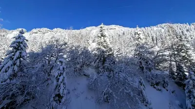 an aerial view of a snow covered mountain with trees at Résidence Andromede - Studio confortable · Proche des pistes MAE-7416 in Flaine