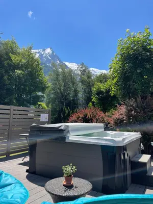 a hot tub in a yard with a potted plant at Chalet Hôtel La Sapinière in Chamonix-Mont-Blanc