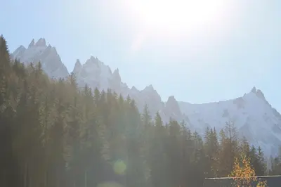 a view of a mountain with trees in the foreground at Comfortable Apartment With Terrace In Chamonix in Chamonix-Mont-Blanc