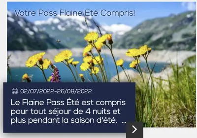 a picture of some yellow flowers on a mountain at 1-bed apartment in 5* Residence with mountain views, ski in, ski out in Flaine
