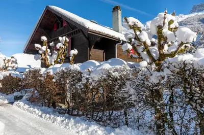 a house covered in snow next to some bushes at Chalet Clos 66 in Chamonix-Mont-Blanc